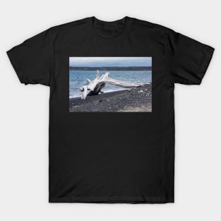 driftwood T-Shirt